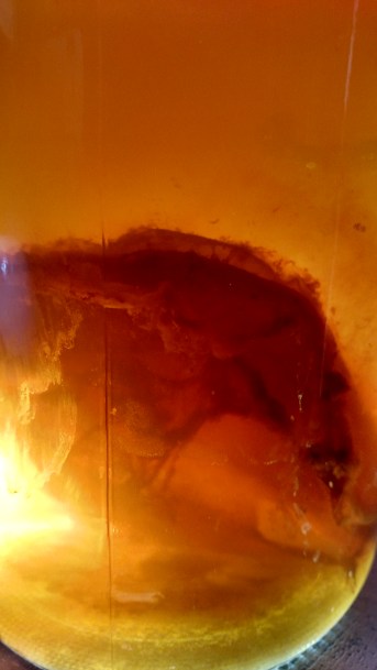 IMG_20171123_104348834_HDR