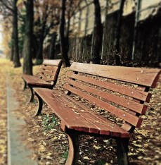 abandoned-alley-autumn-54539